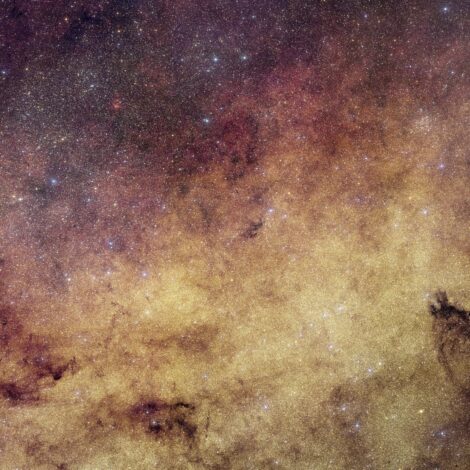 Euclid’s View Of Our Galaxy’s Bulge